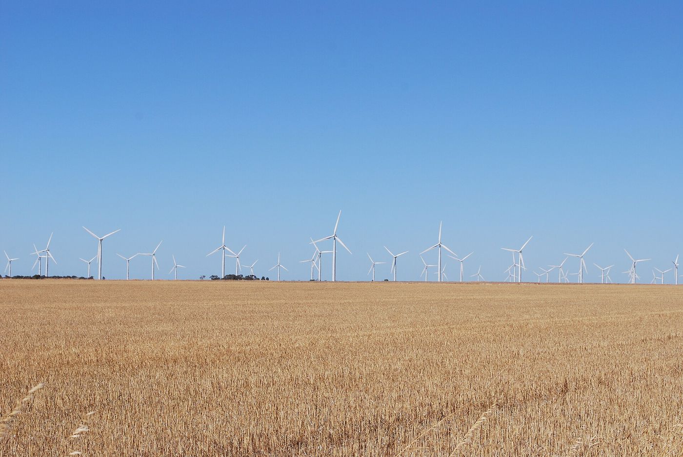 Wattle Point Wind Farm, South Australia