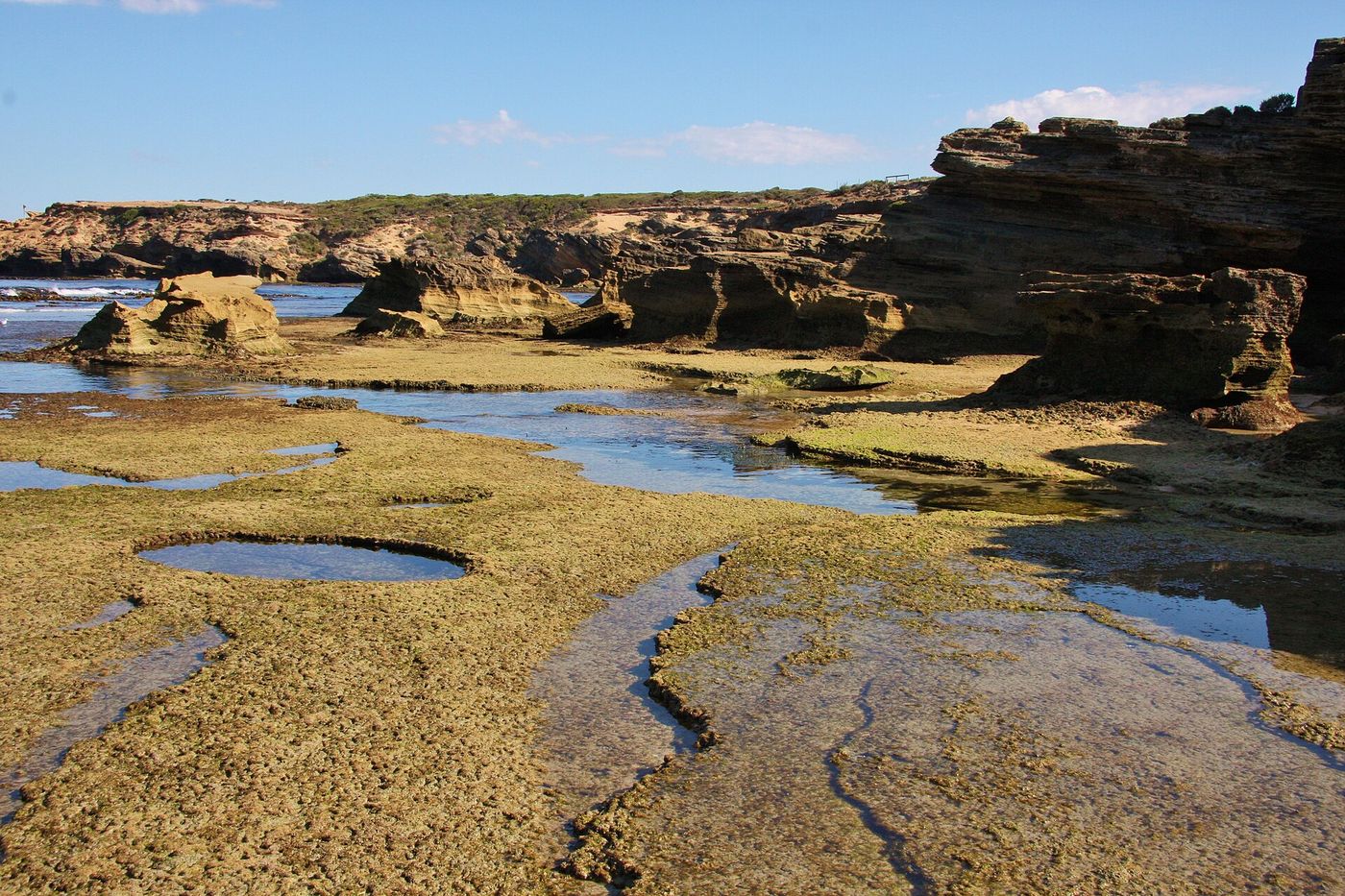 The coast at Warrnambool