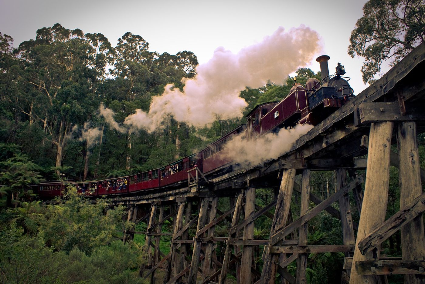 Puffing Billy steam train near Belgrave