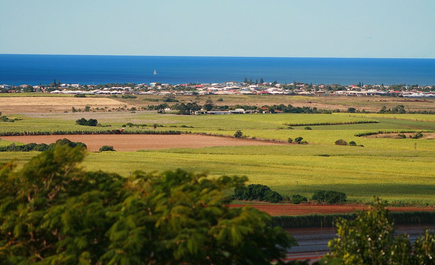 Cane fields around Bargara, near Bundaberg