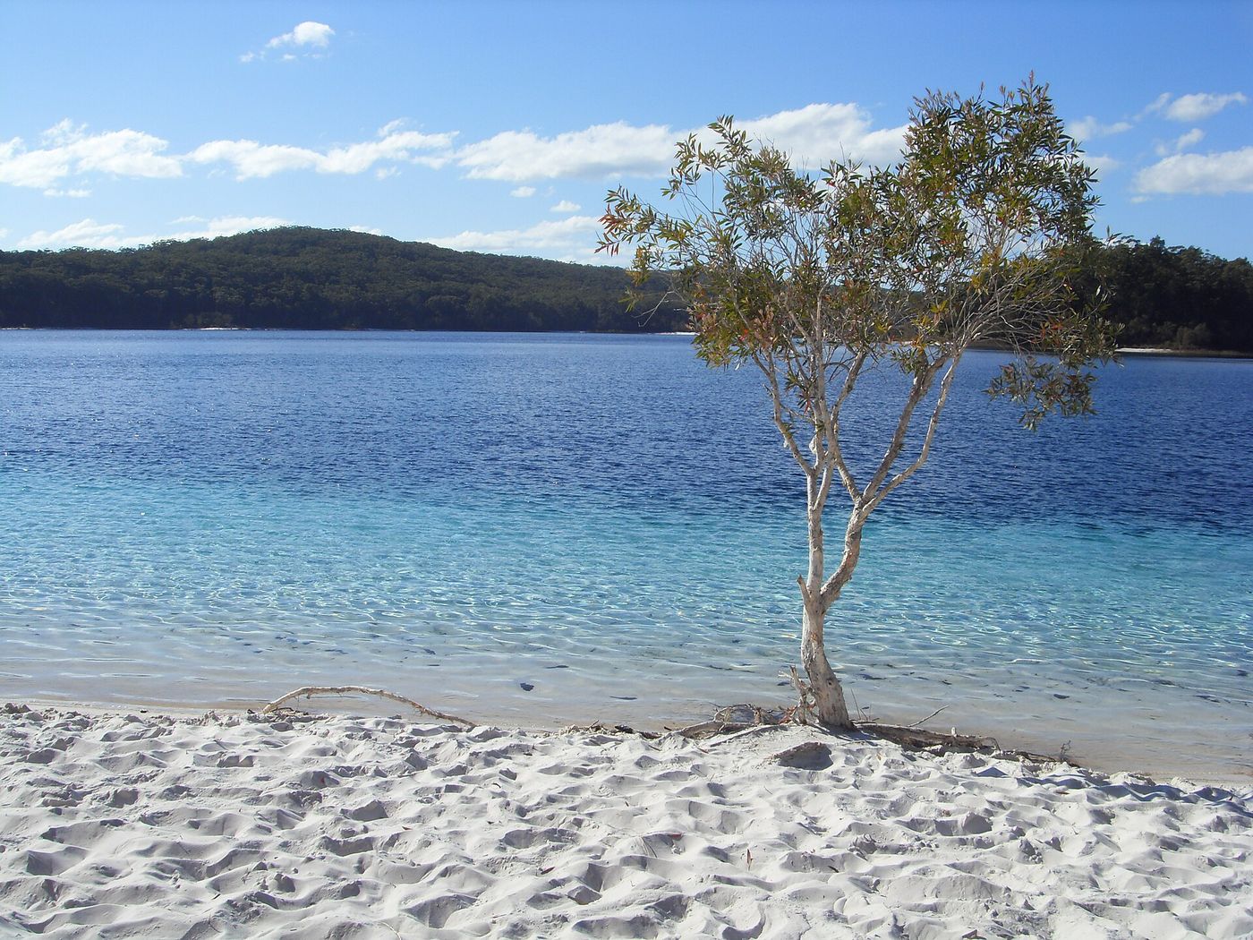 Lake McKenzie, Fraser Island (K'gari)