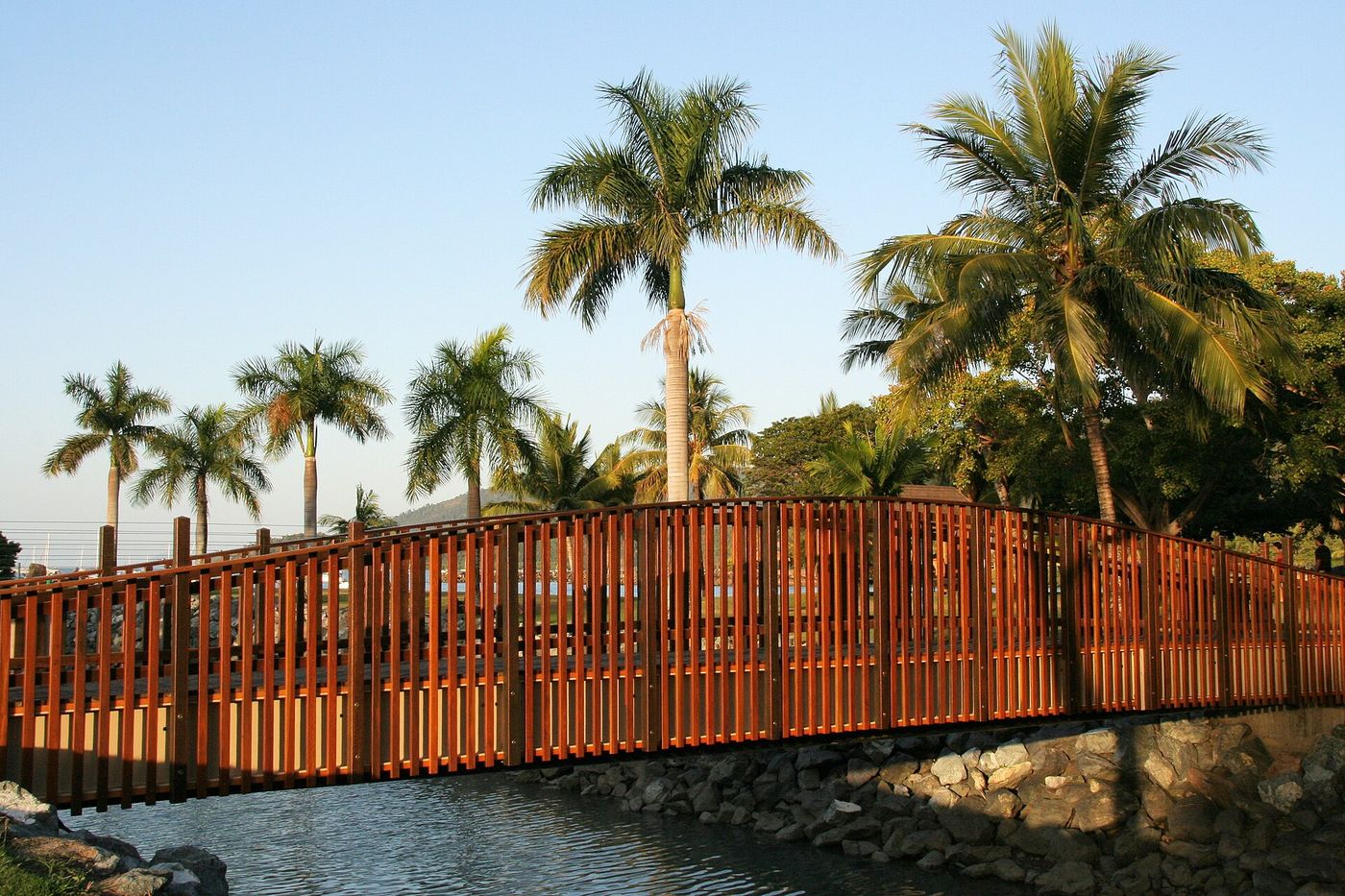 Wooden bridge among the palms, Airlie Beach