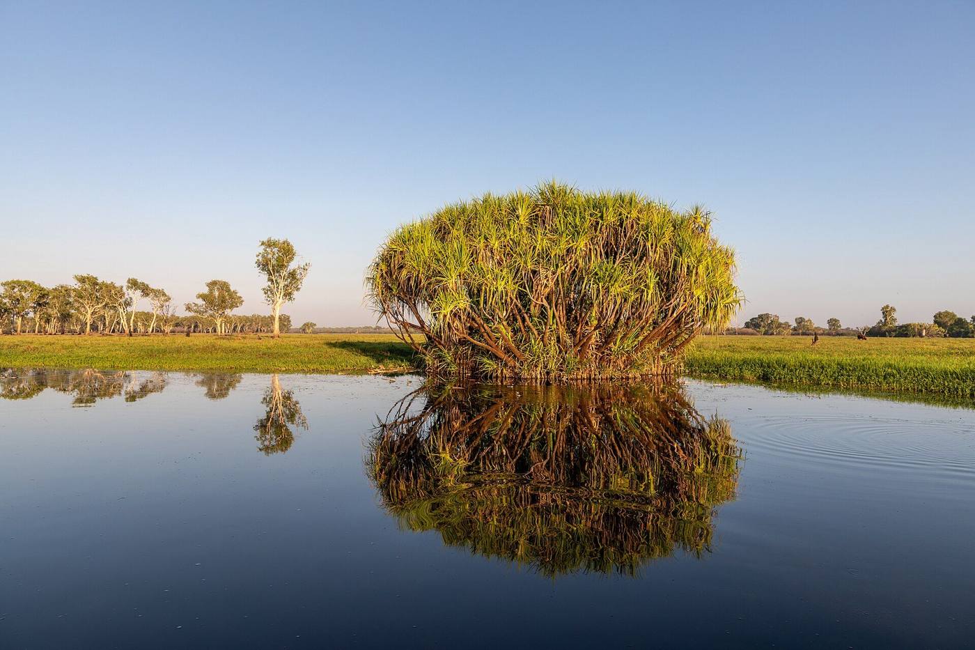 Yellow Water billabong, Cooinda
